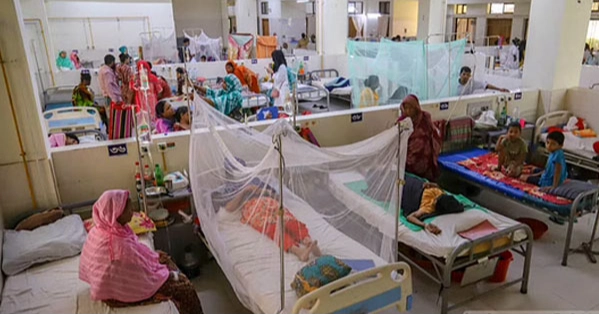 দেশে ডেঙ্গুতে আক্রান্ত আরও ৮