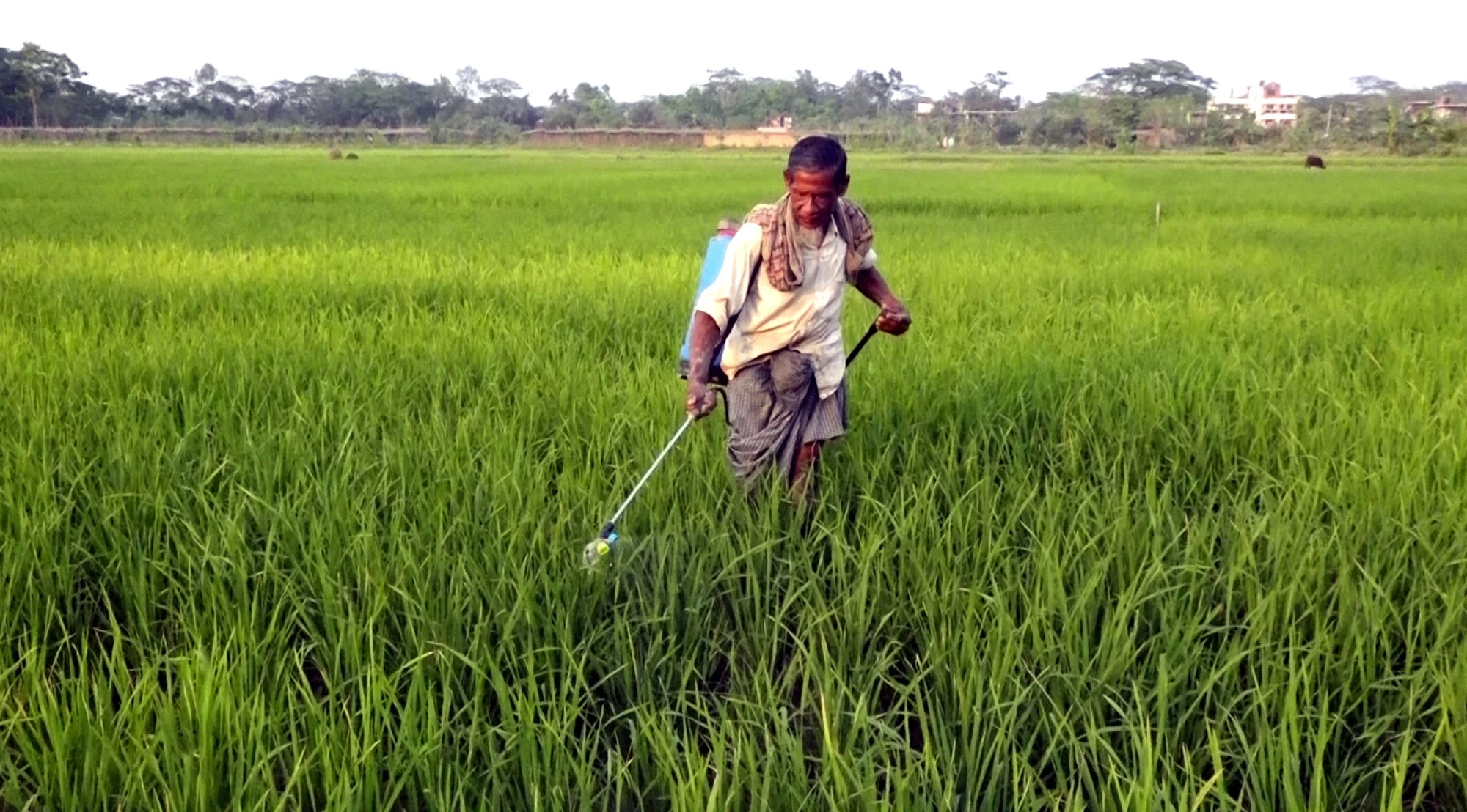 ঝালকাঠিতে জ্বালানি সংকটে ব্যাহত হচ্ছে কৃষিকাজ