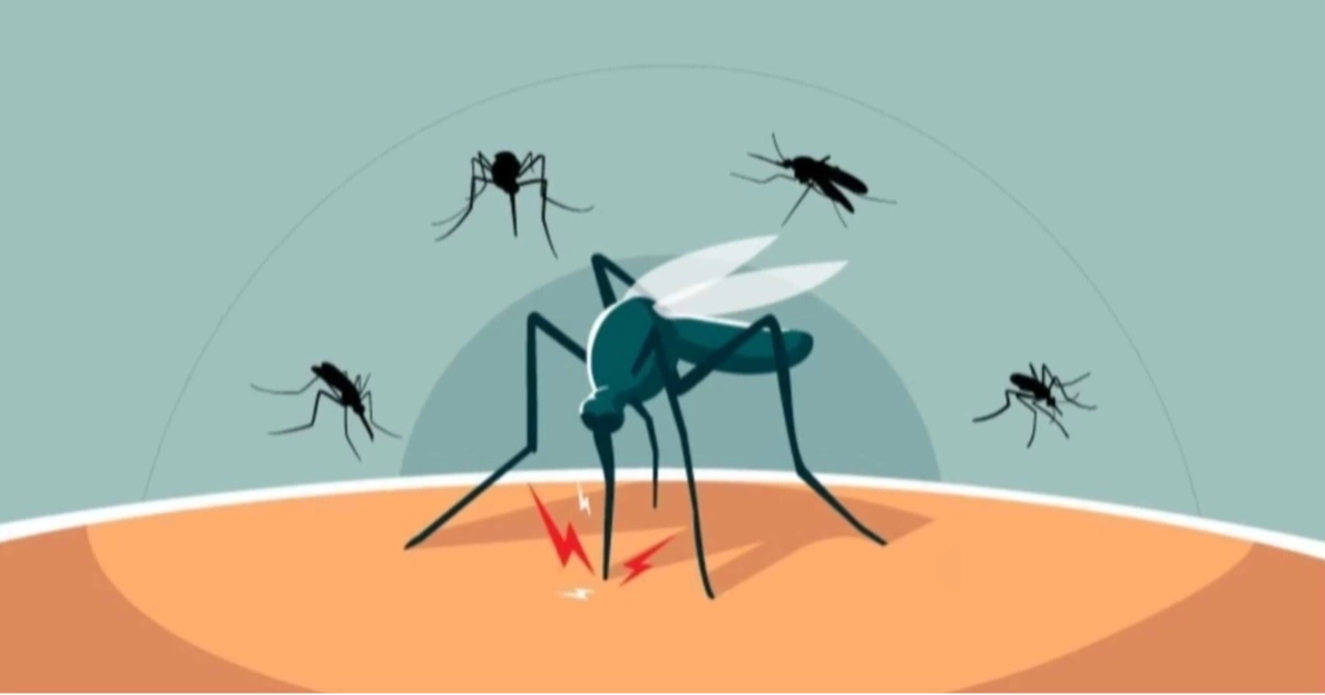 ডেঙ্গু আক্রান্ত হয়ে হাসপাতালে ভর্তি ৫৫২, মৃত্যু নেই