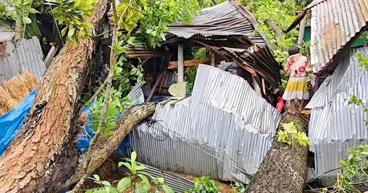 কালবৈশাখী ঝড়ে লণ্ডভণ্ড ঠাকুরগাঁওয়ের বিভিন্ন এলাকা