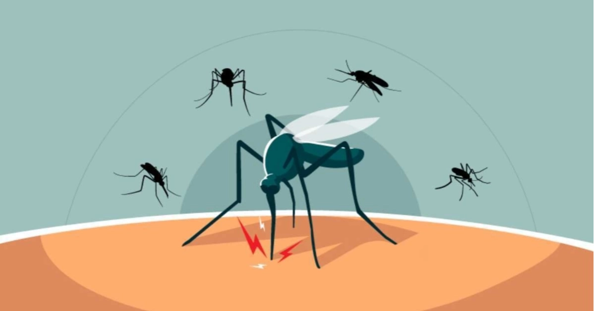 দেশে ২৪ ঘণ্টায় ডেঙ্গুতে আক্রান্ত ৮২