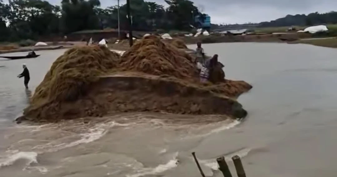 সুনামগঞ্জের মধ্যনগরে সড়ক ভেঙে ডুবছে হাওর, দুশ্চিন্তায় কৃষক