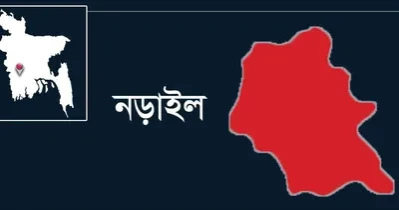 নড়াইলে ভাইয়ের মারধরে ভাইয়ের মৃত্যুর অভিযোগ