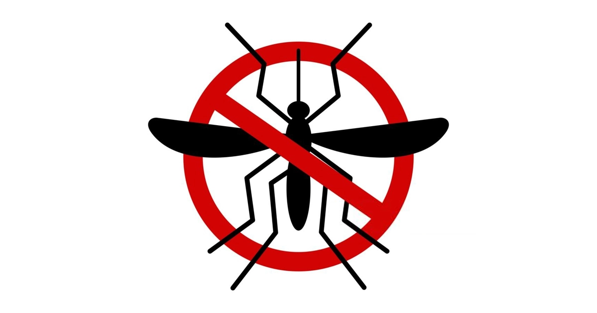 বাংলাদেশকে ডেঙ্গু প্রতিরোধী উপকরণ দিচ্ছে চীন