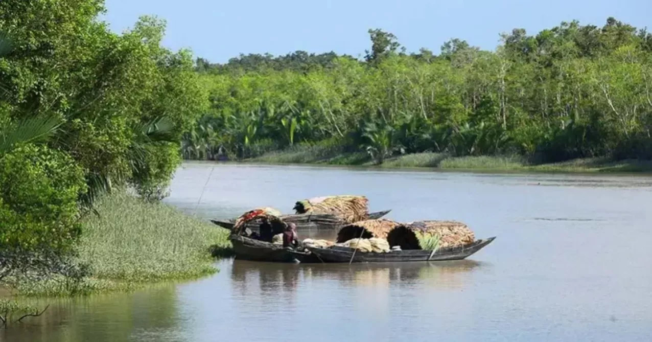 সুন্দরবনে জলদস্যুদের তৎপরতা বৃদ্ধি, মুক্তিপণ দিয়ে ফিরেছেন ৬ জেলে