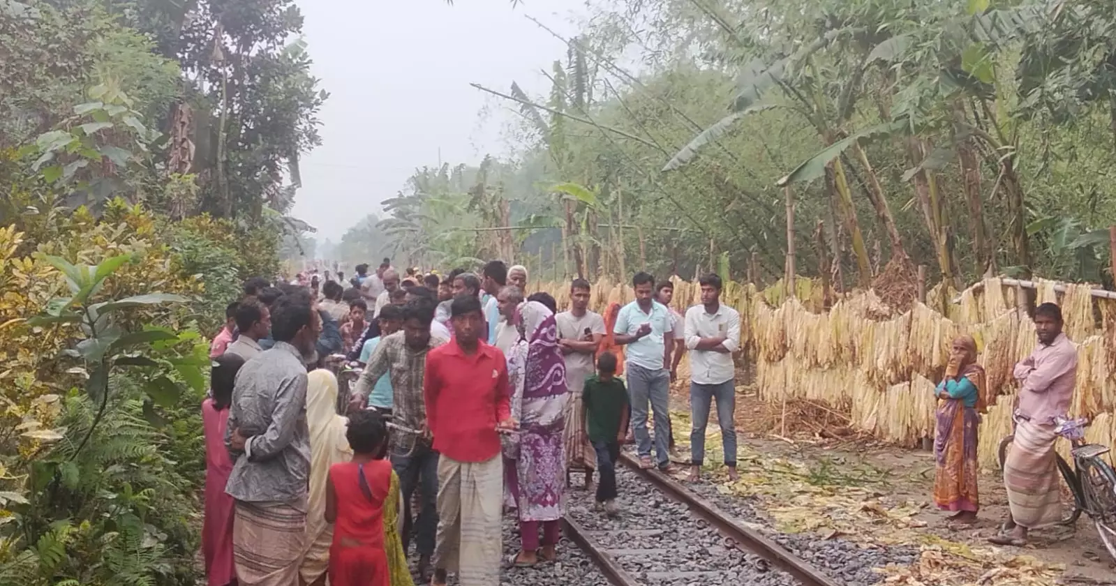 লালমনিরহাটে ট্রেনে কাটা পড়ে প্রাণ গেল বৃদ্ধের