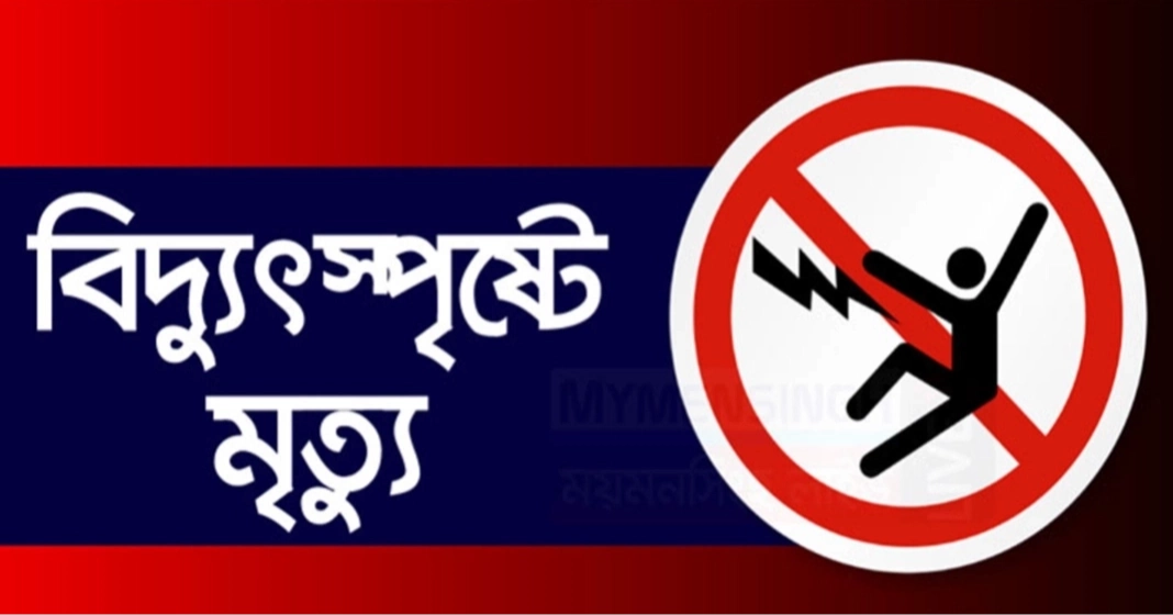 মেহেরপুরে ইজিবাইকে চার্জ দিতে গিয়ে বিদ্যুতায়িত হয়ে চালকের মৃত্যু