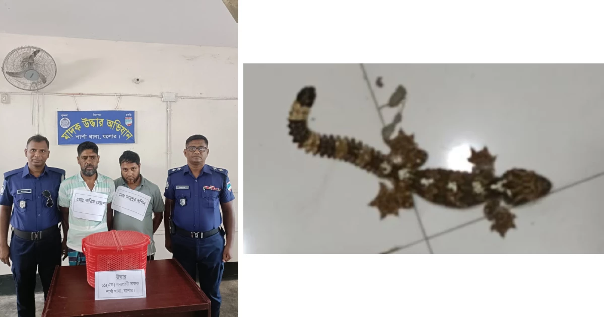 যশোরে তক্ষকসহ দুই পাচারকারী আটক