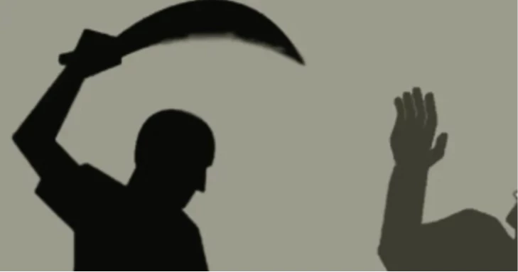 নরসিংদীতে জমি নিয়ে বিরোধের জেরে ২ ভাইকে কুপিয়ে ‘হত্যা’