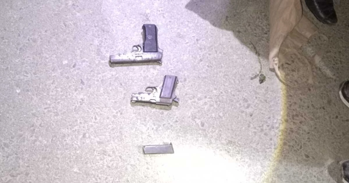 মাগুরায় বাড়ির পাশের ঝোপ থেকে দুটি পিস্তল উদ্ধার