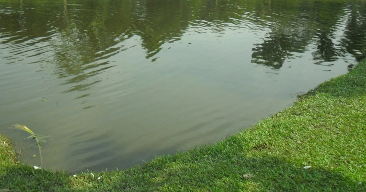 পুকুরে ফুটবল তুলতে গিয়ে দুই শিশুর মৃত্যু