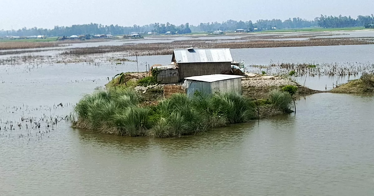 কুড়িগ্রামের বন্যাকবলিত চরাঞ্চলে জনপ্রিয় হয়ে উঠছে ‘গুচ্ছ বসতভিটা’