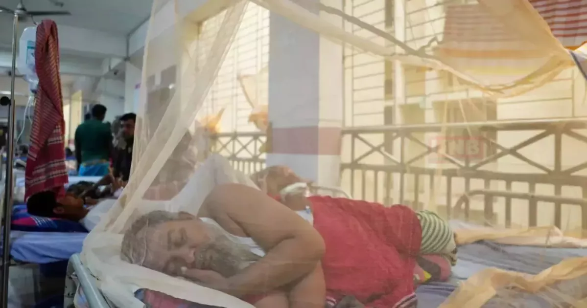 ডেঙ্গুতে ২৪ ঘণ্টায় ৯ মৃত্যু, হাসপাতালে ১,৯৫৪
