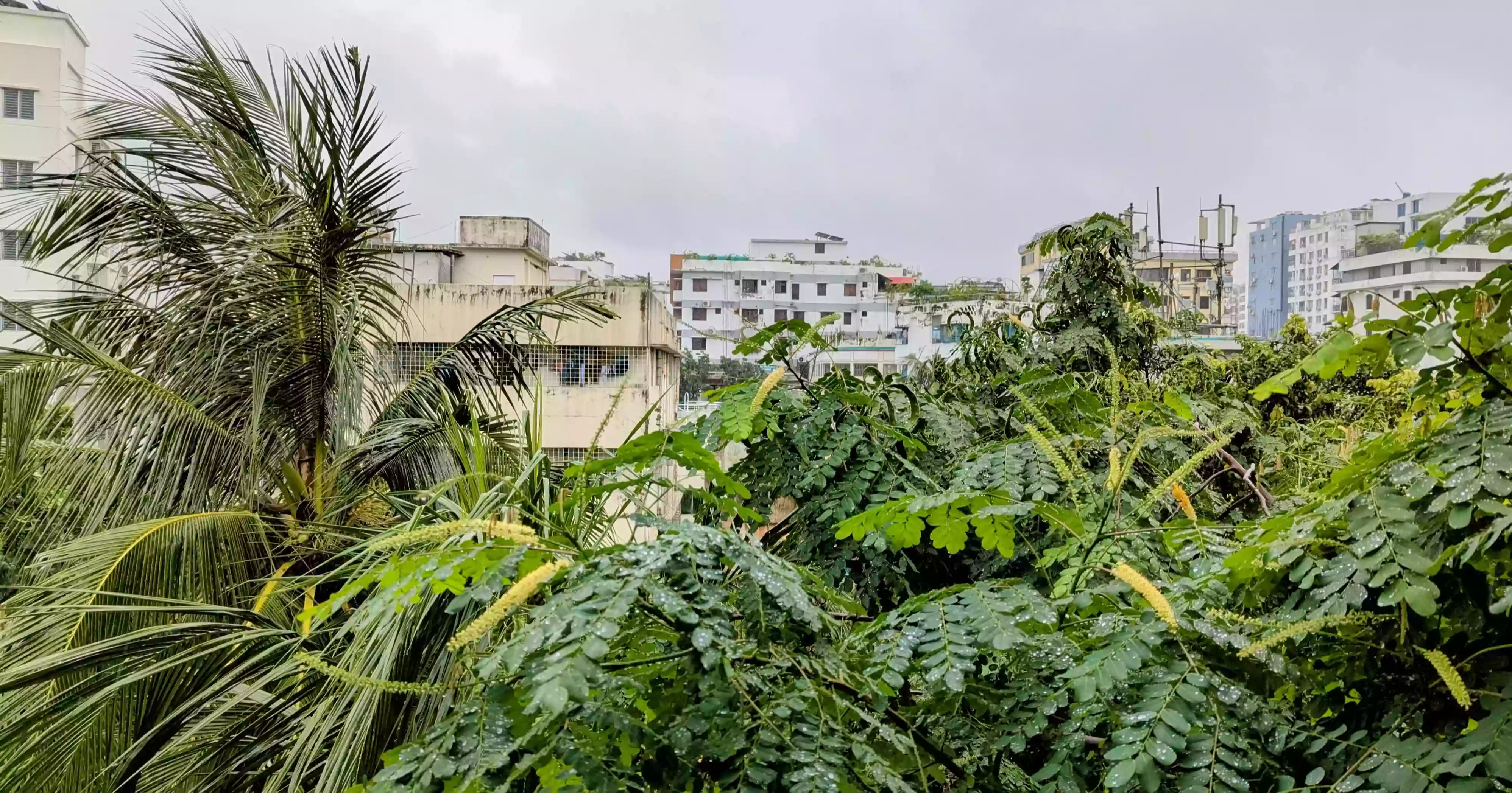 ঢাকার বায়ুমানে আজ ভোরের বৃষ্টির প্রভাব