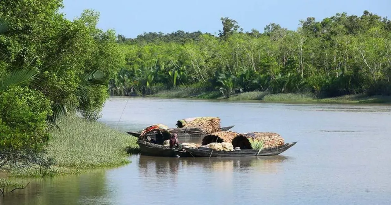 সুন্দরবনের ১০ কিলোমিটার এলাকাজুড়ে নতুন শিল্পপ্রতিষ্ঠান স্থাপনে নিষেধাজ্ঞা