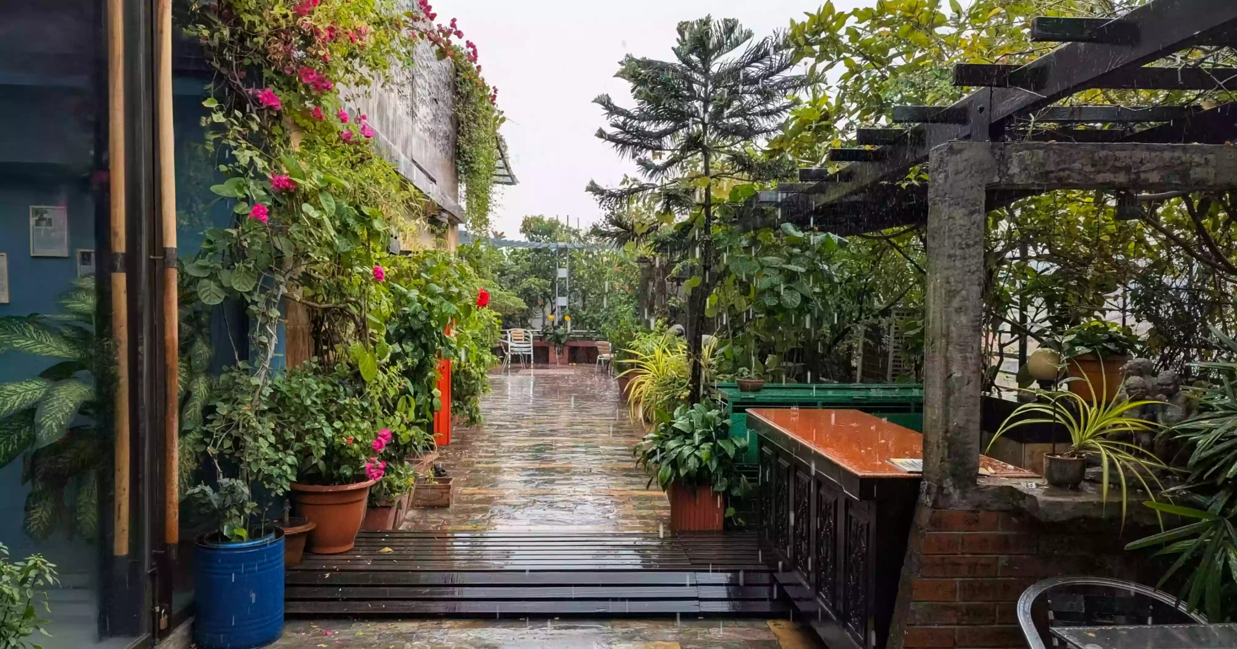 বসন্ত পড়তেই বৃষ্টিতে ভিজল ঢাকা