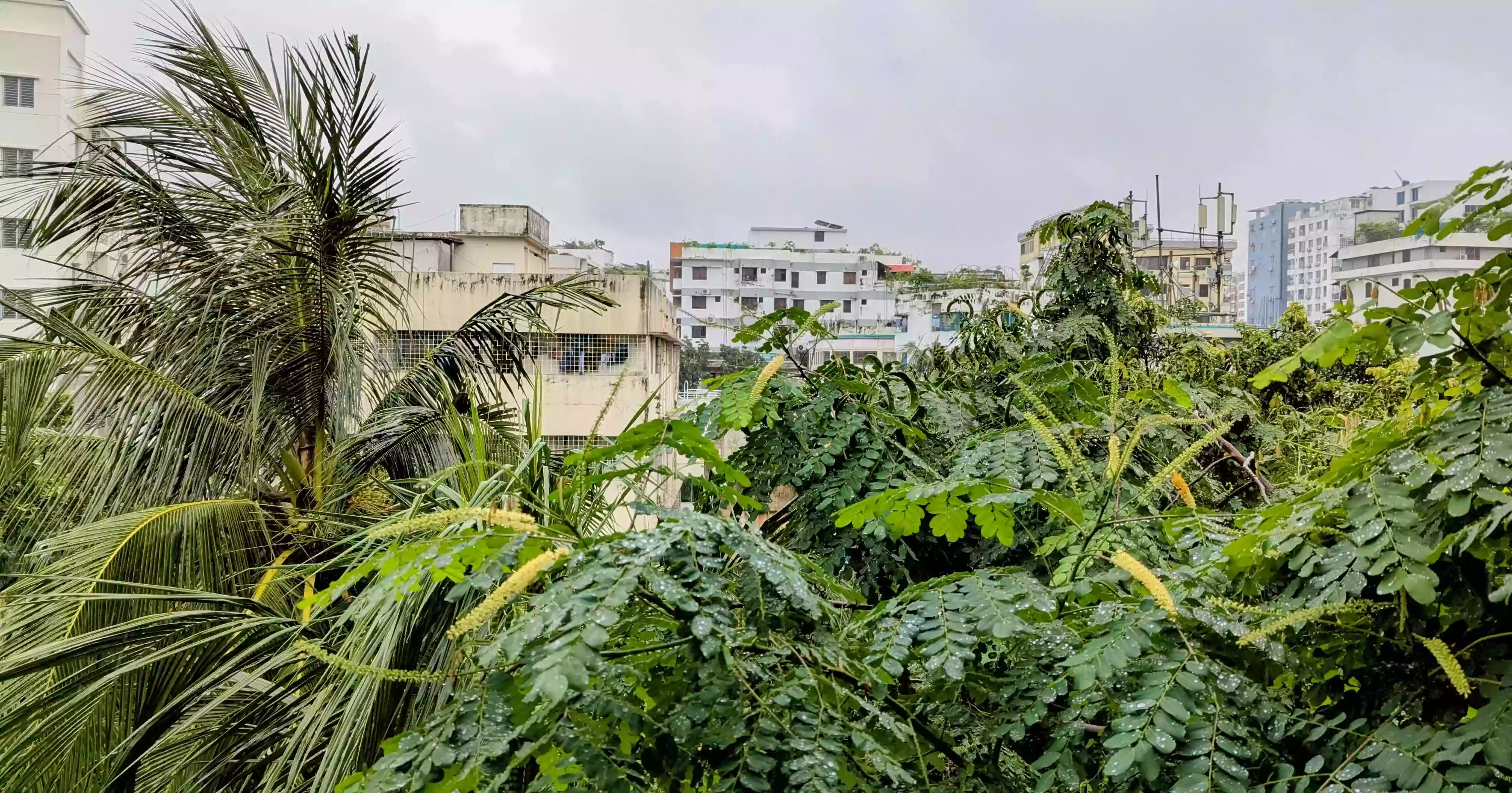 ঢাকার বাতাস আজও ‘মাঝারি’