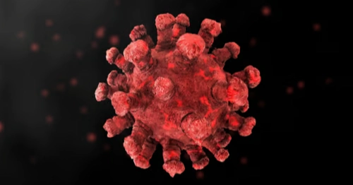 দেশে ২৪ ঘণ্টায় করোনায় আক্রান্ত ১