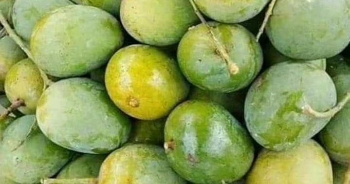 আজ থেকে বাজারে মিলছে সাতক্ষীরার ‘হিমসাগর’ আম