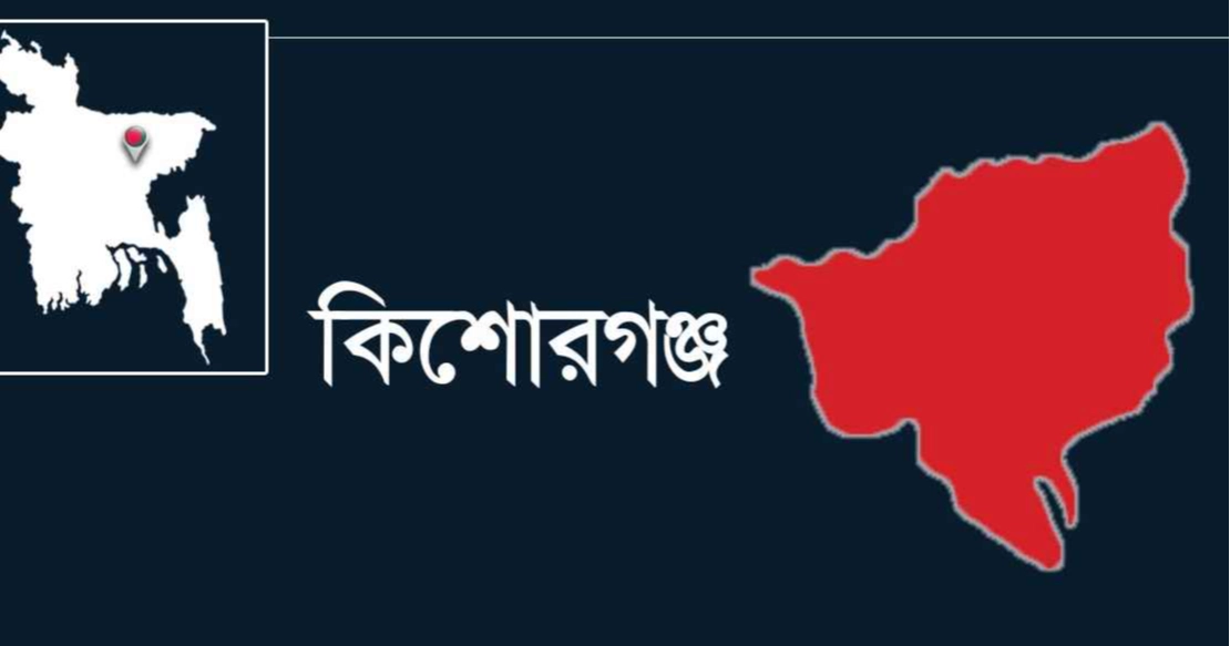 কিশোরগঞ্জে বিদ্যুৎস্পৃষ্টে অটোরিকশা চালক নিহত