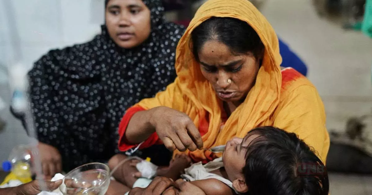 ডেঙ্গুতে ২৪ ঘণ্টায় ৩ মৃত্যু, হাসপাতালে ১,২৯৯