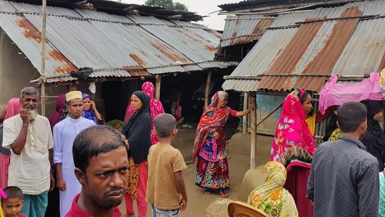 ঠাকুরগাঁওয়ের কোনো হাসপাতালে অ্যান্টিভেনম নেই, মরছে মানুষ