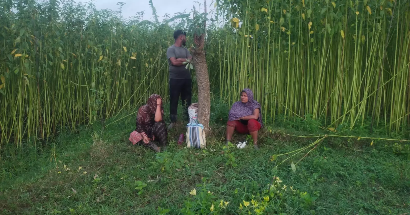 চুয়াডাঙ্গা সীমান্তে ৩ জনকে পুশইনের চেষ্টা, প্রতিহত করল বিজিবি