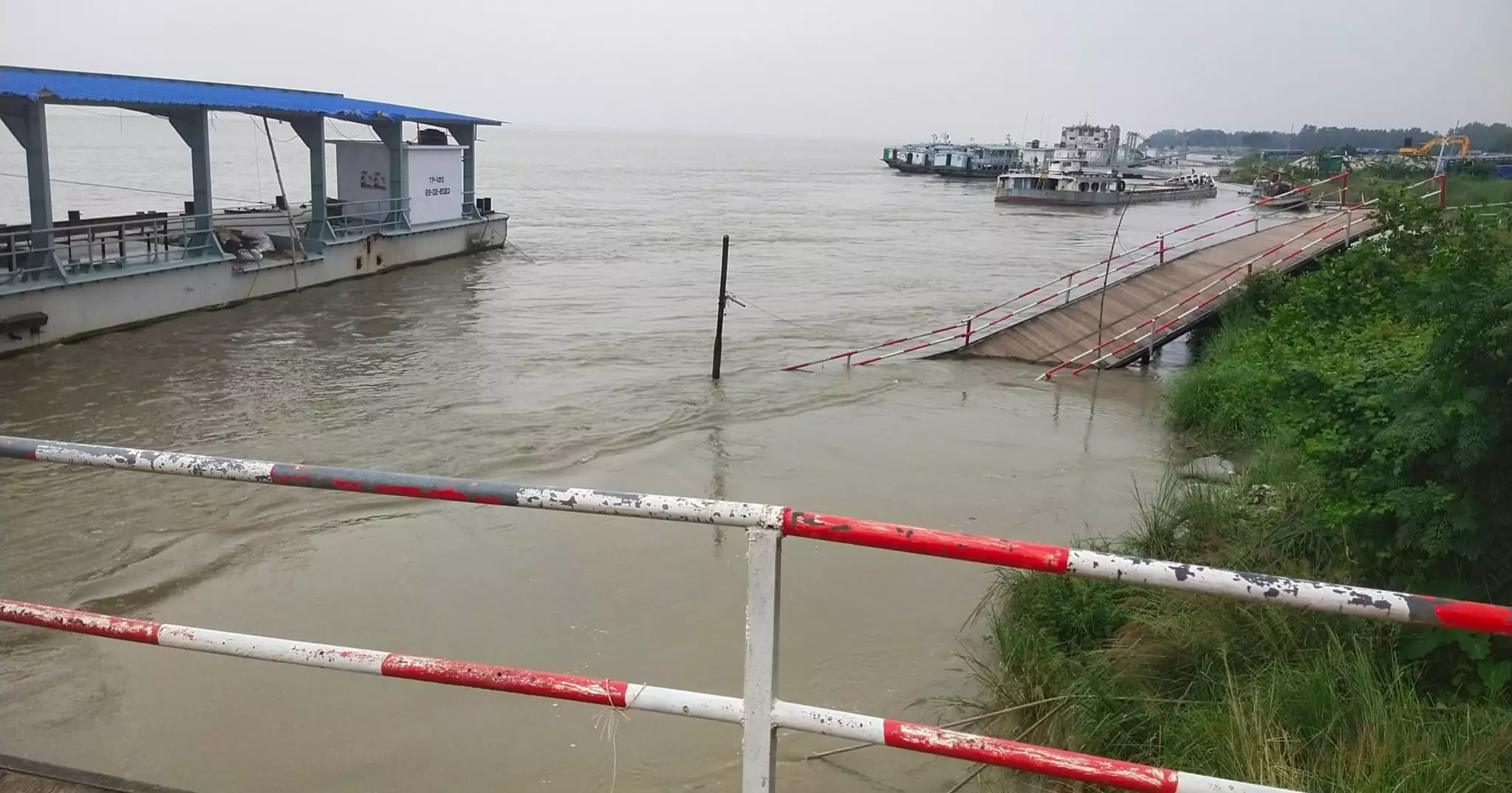 প্রবল স্রোতে পাটুরিয়ার লঞ্চঘাট ভেঙ্গে পড়েছে, দুর্ভোগে যাত্রীরা