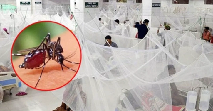 বরগুনায় ডেঙ্গুতে আক্রান্ত হয়ে আরও এক নারীর মৃত্যু