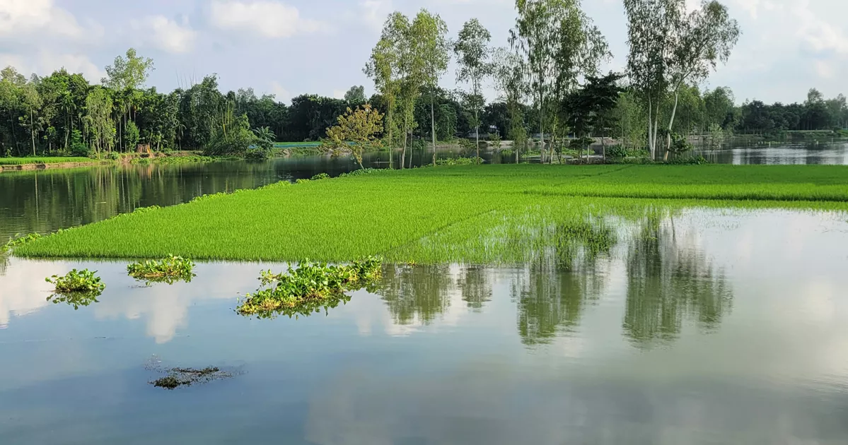 লালমনিরহাট, কুড়িগ্রামে বন্যা পরিস্থিতির অবনতি, পানিবন্দি লাখো মানুষ
