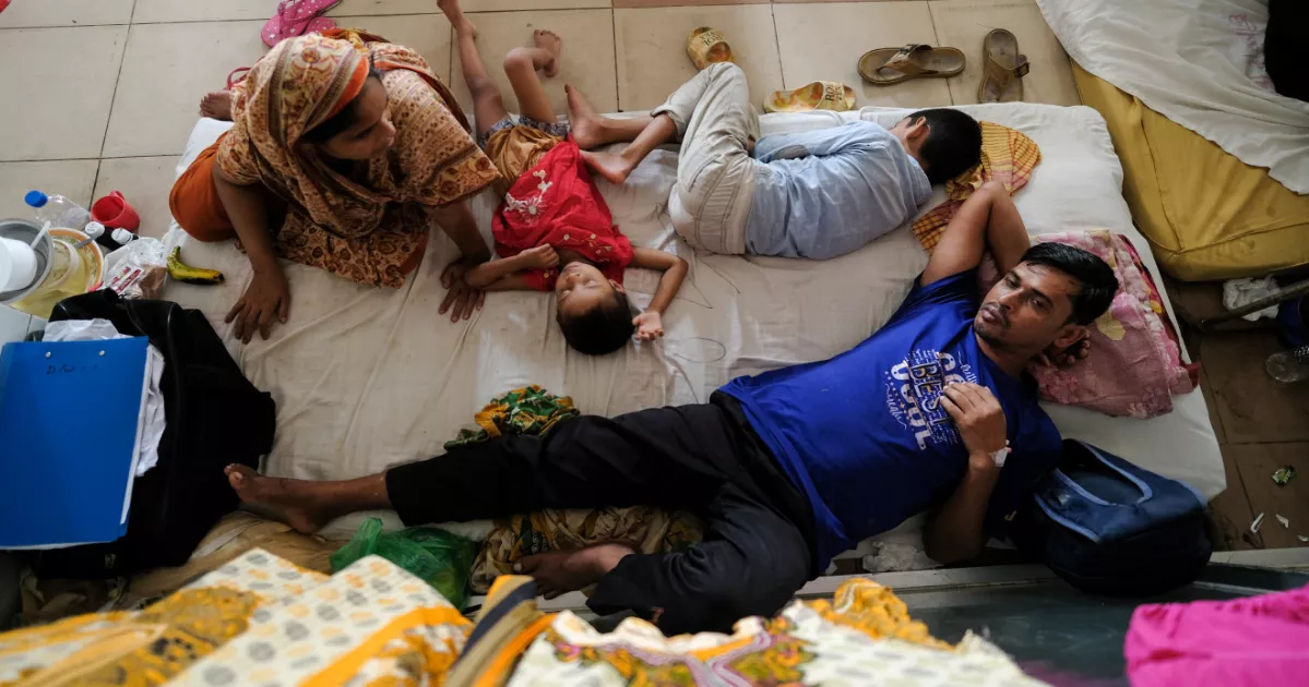 দেশে ডেঙ্গুতে আক্রান্ত আরও ২২