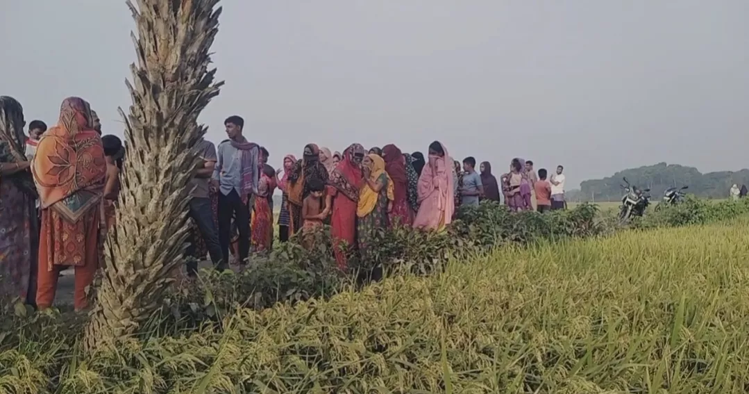 বেনাপোলে ধানখেত থেকে অজ্ঞাত ব্যক্তির মরদেহ উদ্ধার