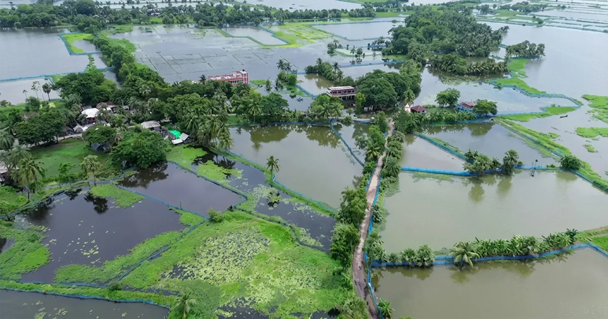 জলাবদ্ধতায় কাজে আসেনি ১৪০ কোটি টাকার প্রকল্প, ডুবছে ভবদহ
