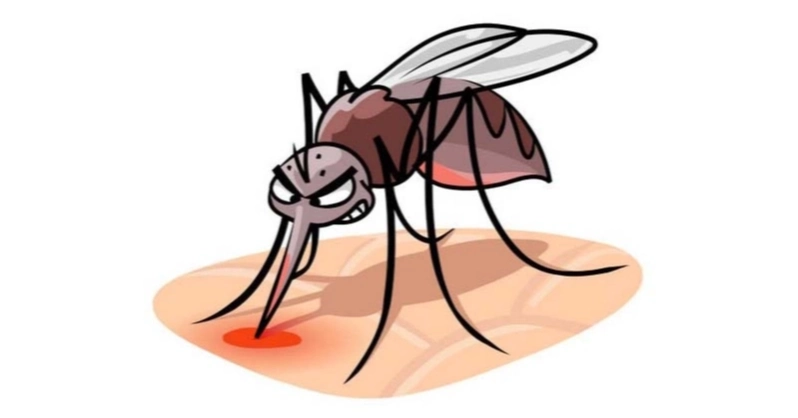 ডেঙ্গুতে দেশে আরও একজনের মৃত্যু