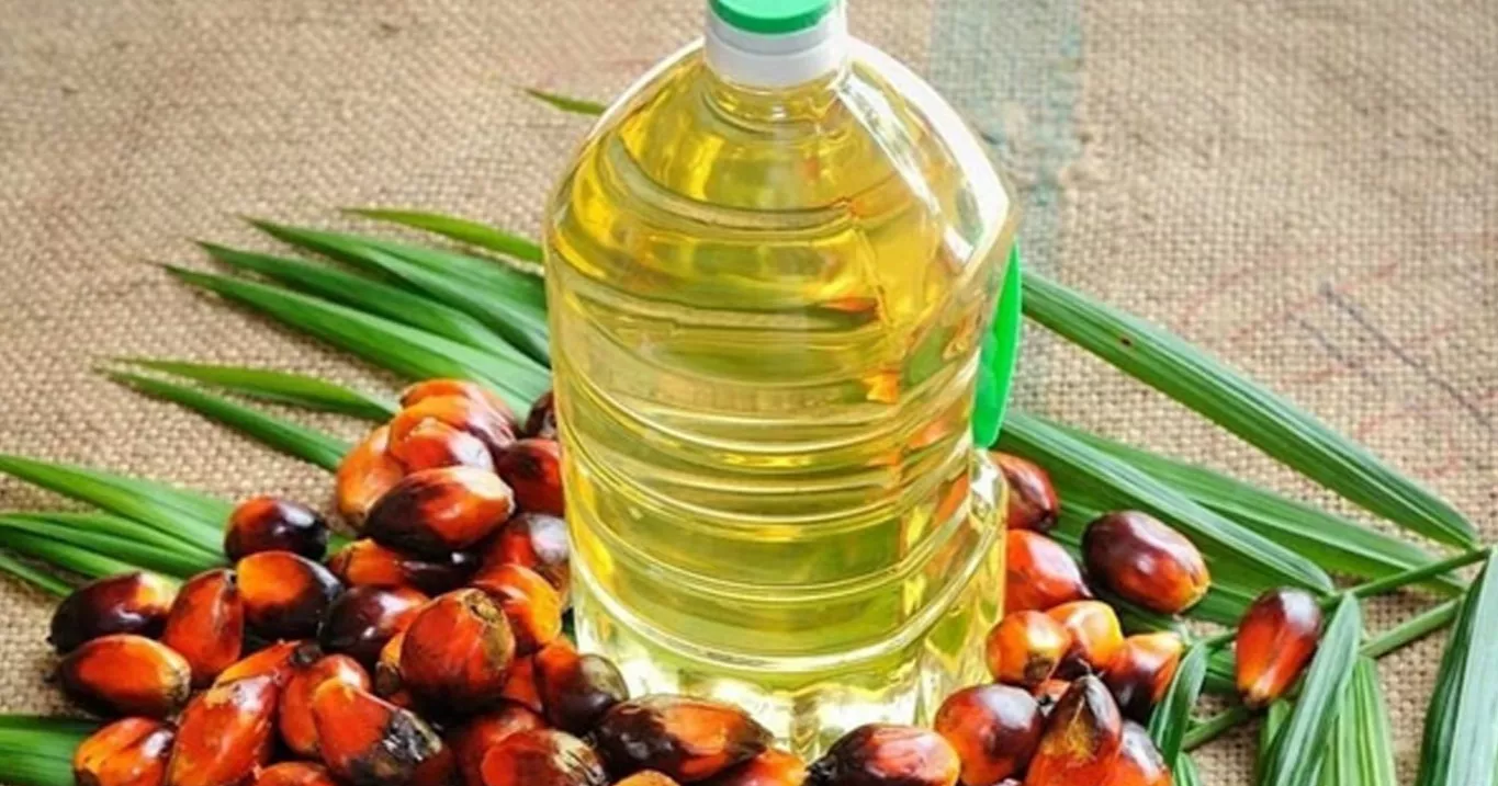 পাম অয়েলের দাম লিটারে ১৯ টাকা কমালো সরকার