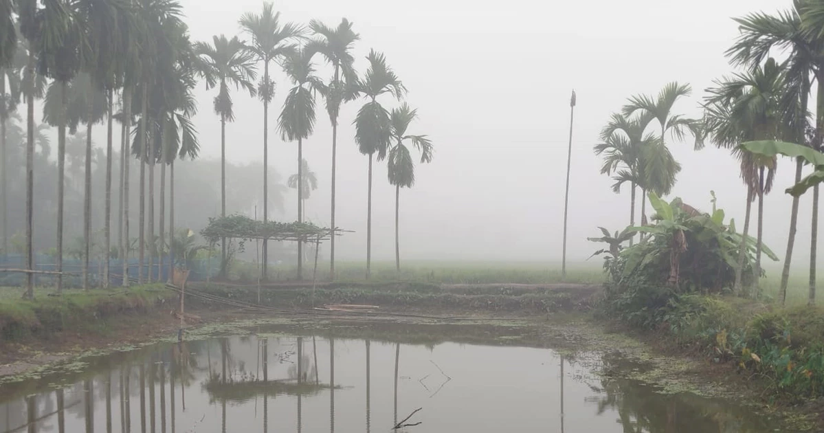 কুয়াশার উত্তরীয় জড়িয়ে লালমনিরহাটে শীতের আগমনবার্তা