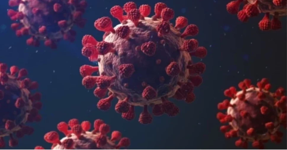 দেশে ২৪ ঘণ্টায় একজনের করোনা শনাক্ত