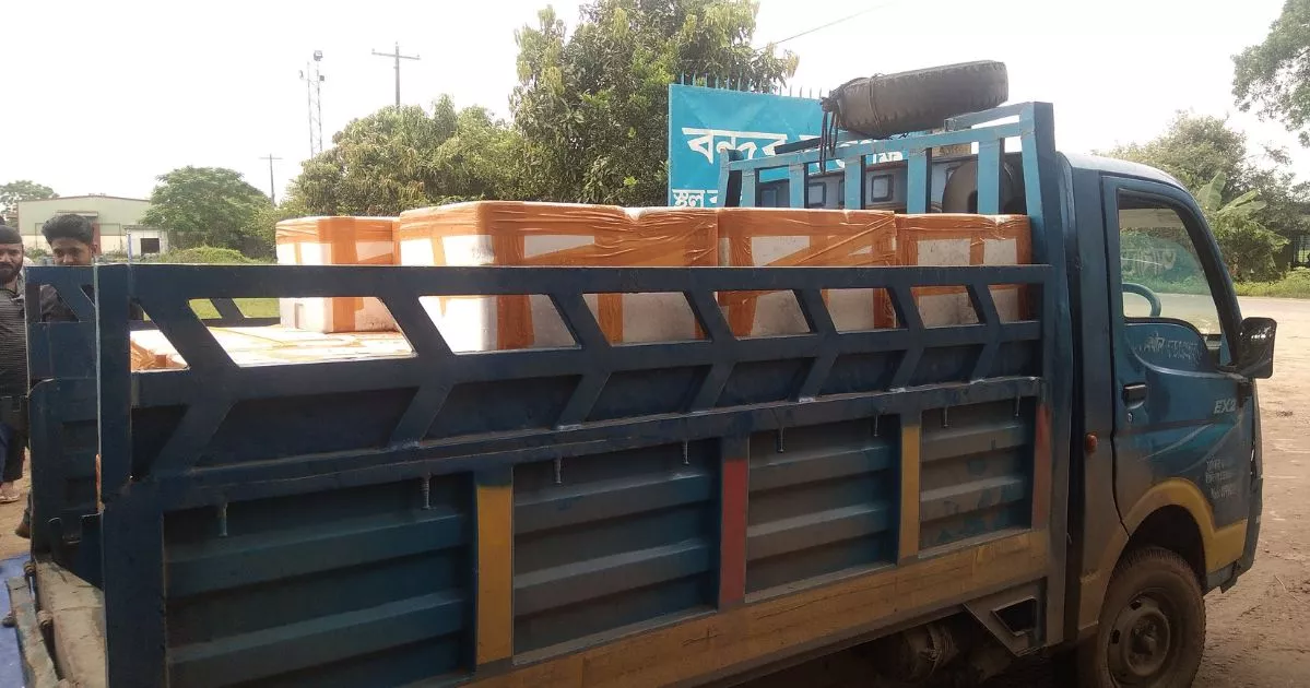 আখাউড়া স্থলবন্দর দিয়ে ভারত গেল ১২০০ কেজি ইলিশ