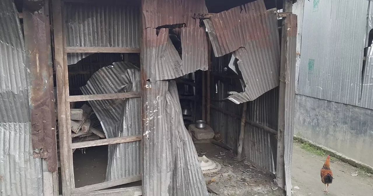 দিনদুপুরে লুট করা গরু দিয়ে আ. লীগ নেতাদের ভূরিভোজ