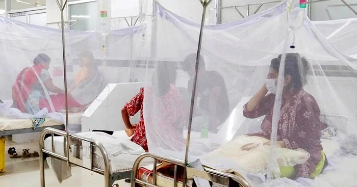 ২৪ ঘণ্টায় ডেঙ্গুতে মৃত্যু নেই, হাসপাতালে ১৭