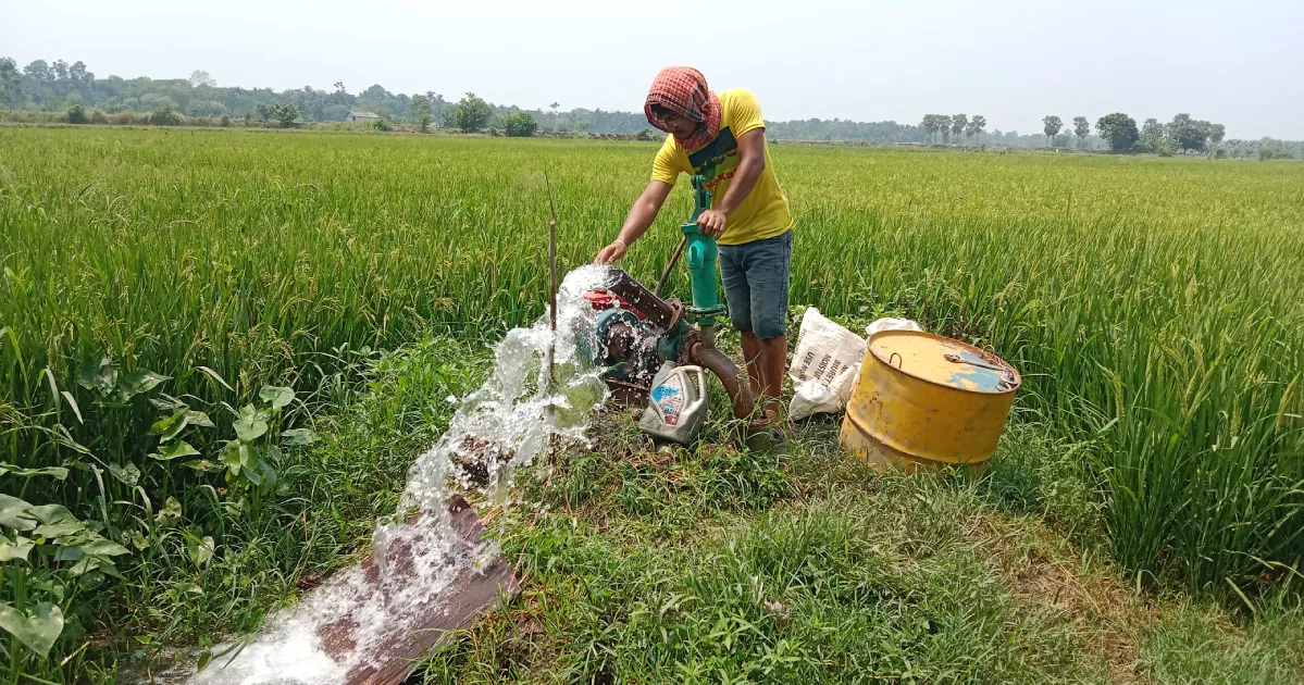 নড়াইলে লবণাক্ততায় তিন ফসলি জমি এক ফসলিতে পরিণত