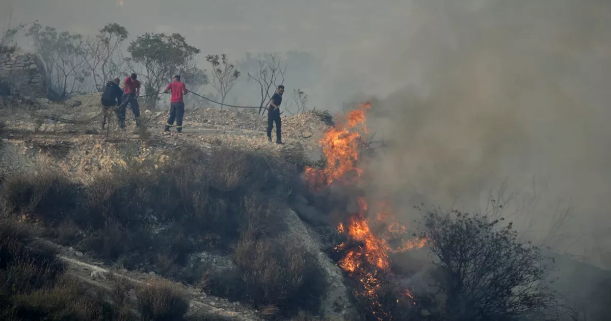 সিগারেটের আগুন থেকে দাবানল, পুড়েছে সাইপ্রাসের ১০০ বর্গকিলোমিটার বনাঞ্চল