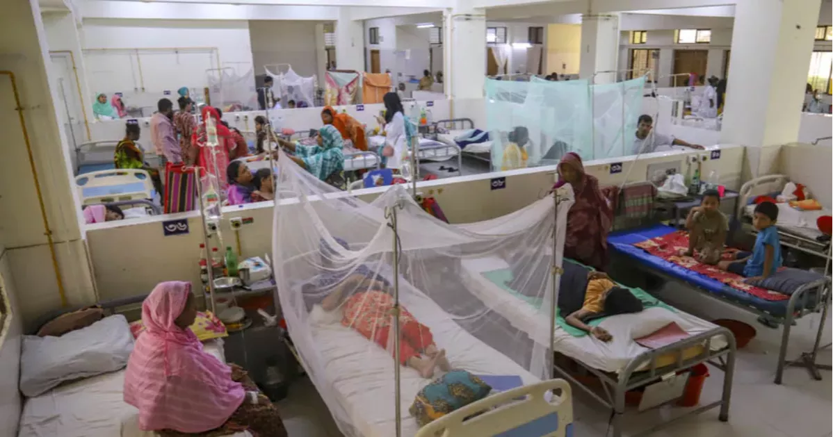 দেশে ডেঙ্গুতে আক্রান্ত আরও ৬০, মৃত্যু নেই