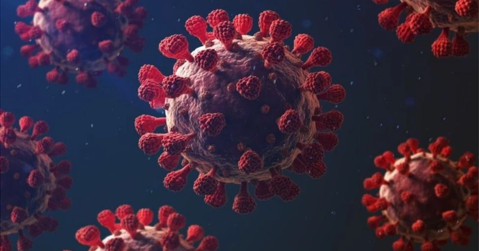 করোনায় ২৪ ঘণ্টায় মৃত্যু ১, শনাক্ত ২৬