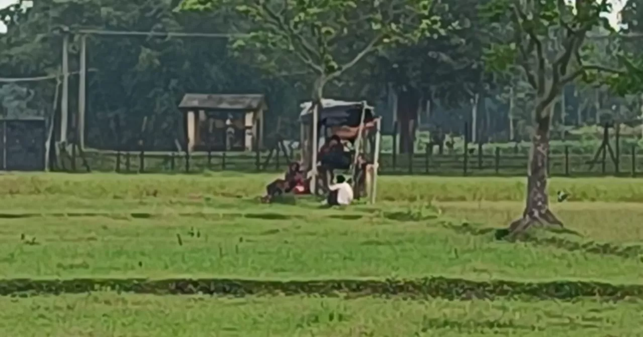 লালমনিরহাট সীমান্তে ৩৩ জনকে পুশইনের চেষ্টা, বিজিবির বাধা
