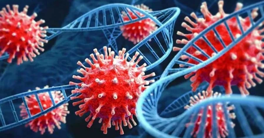 দেশে করোনায় একজনের মৃত্যু