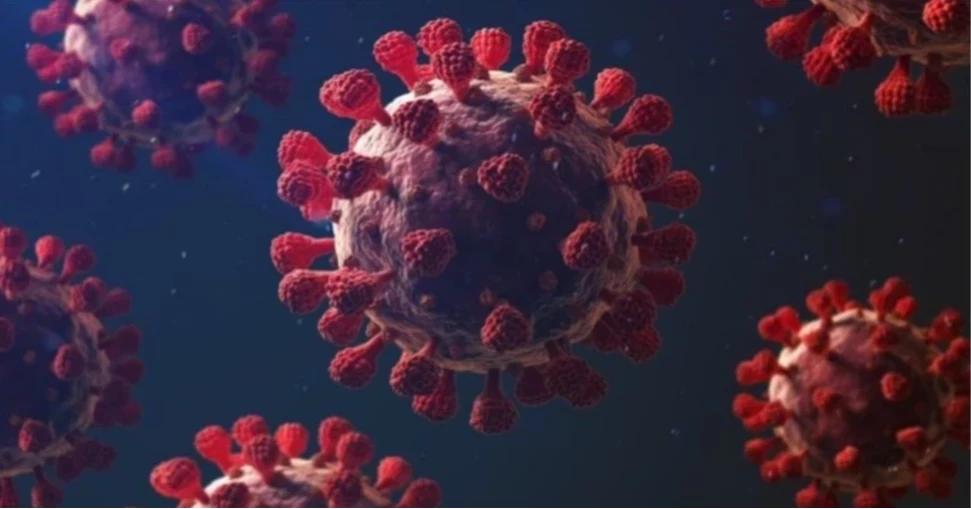 দেশে আরও ২৮ জন করোনায় আক্রান্ত