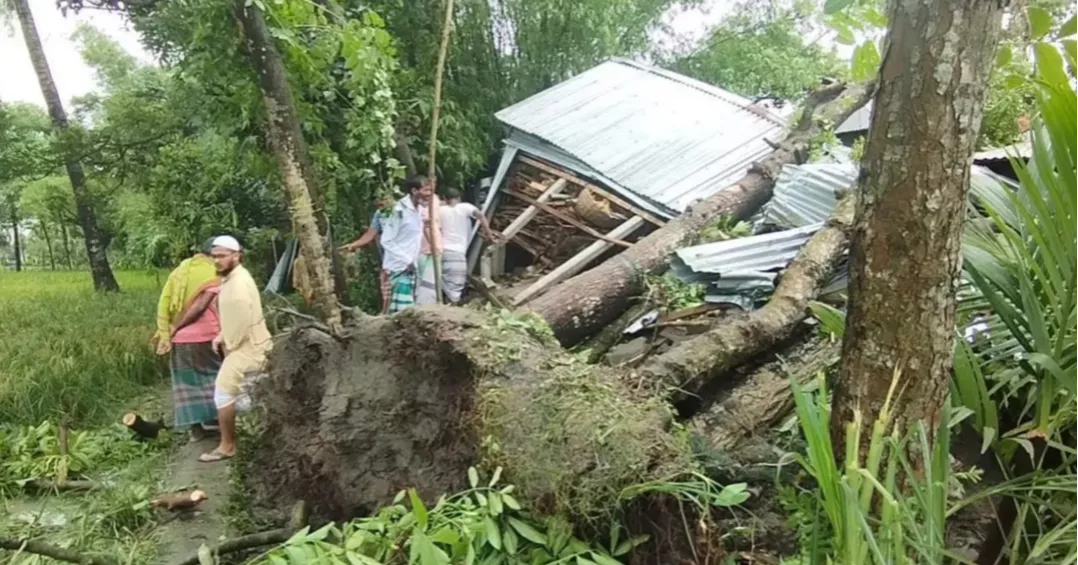 জামালপুরে কালবৈশাখী ঝড়ে গাছচাপায় মা ও দুই মেয়ে নিহত