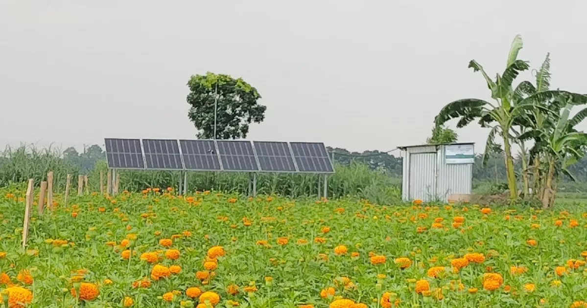 ঝিনাইদহের কৃষিতে আশা দেখাচ্ছে সৌরসেচ