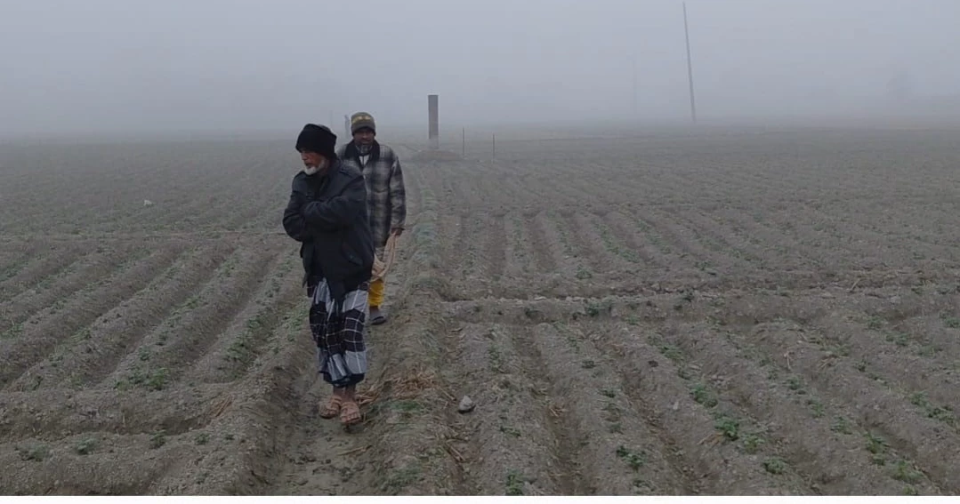 শীত ও কুয়াশায় বিপর্যস্ত লালমনিরহাট, চরম দুর্ভোগে জনজীবন
